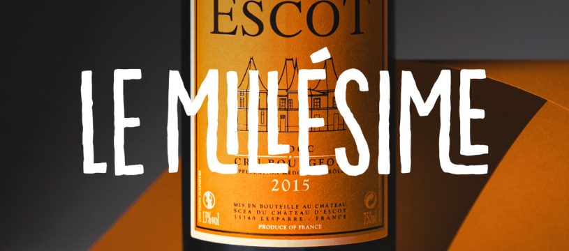 Le millésime : qu’est-ce que cela change vraiment dans le vin ?